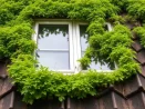 Démoussage de toiture et entretien des gouttières à Paris 3 75003